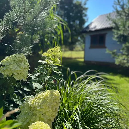 Nyaraló Piec Sosen Wiele